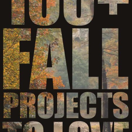 Celebrate all things related to Autumn with this awesome list of 100 Fall Projects to Love!