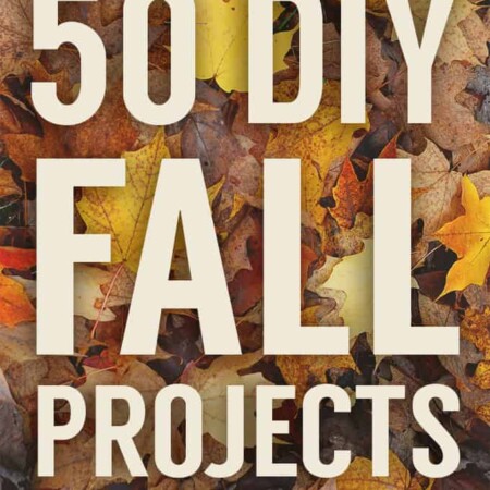 50 Fall Projects for your enjoyment! Includes crafts, food, and home decor ideas!
