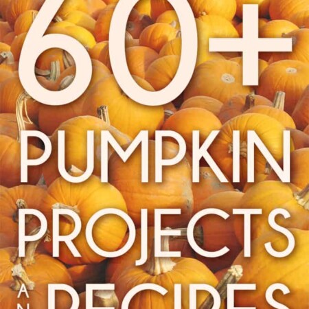 With over 60 ideas collected in one place, You're going to love these wonderful Pumpkin Projects and Recipes!