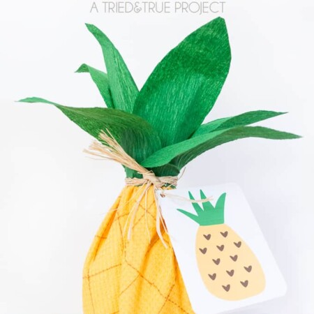 Use a kitchen towel and a few basic supplies to create this fun Pineapple Hostess Gift!