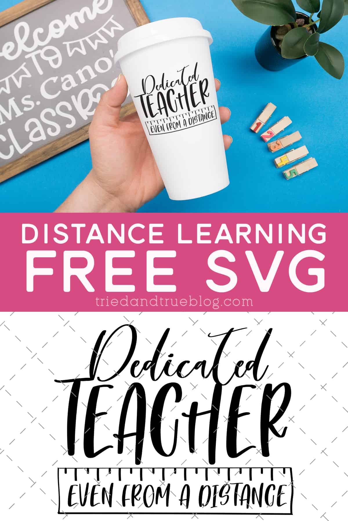 Dedicated Distance Learning Teacher-EDIT04