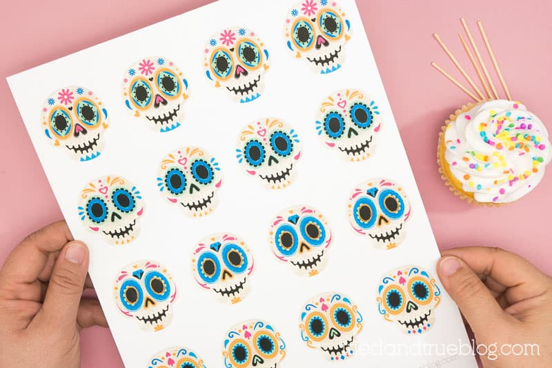 Hands holding a sheet of Day of the Dead (Dia de los Muertos) Sugar Skull Cupcake Toppers.