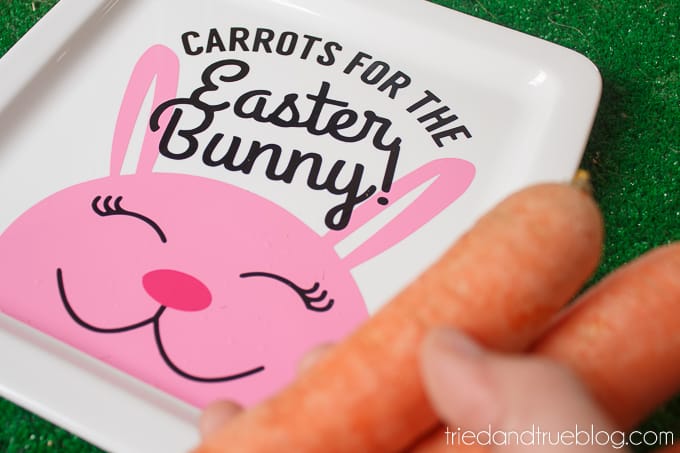 Easter Bunny Carrot Plate - Carrots