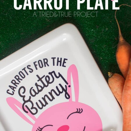 Make this cute Easter Bunny Carrot Plate for a fun Easter tradition! Includes free cutting files!