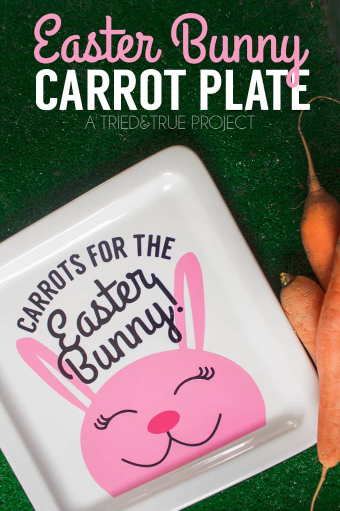 Make this cute Easter Bunny Carrot Plate for a fun Easter tradition! Includes free cutting files!