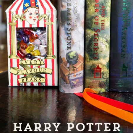 Harry Potter Bertie Bott's Bookends | triedandtrueblog.com