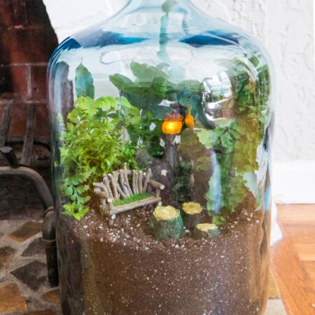 Indoor Gnome Garden made with a vintage carboy
