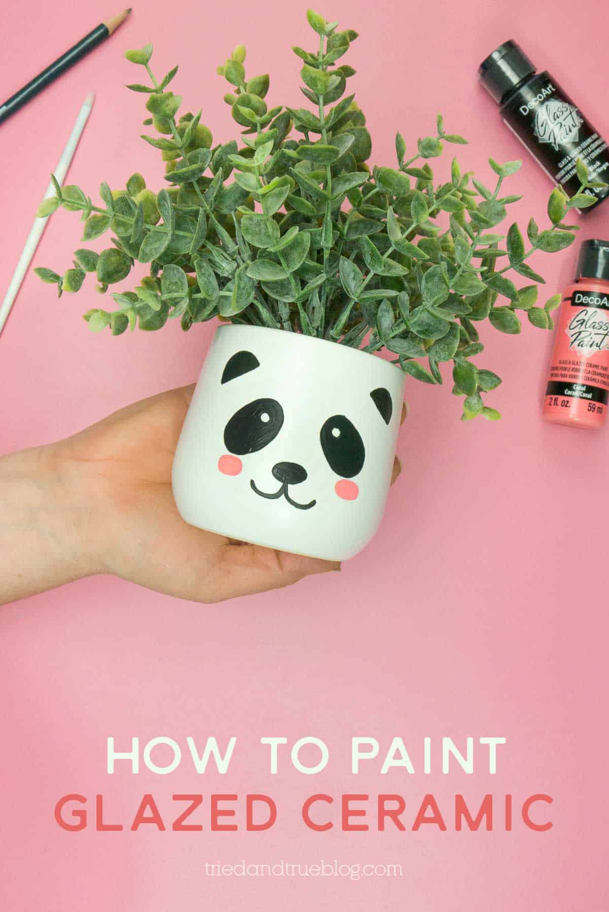 Hand holding white planter with painted panda face. Words include 