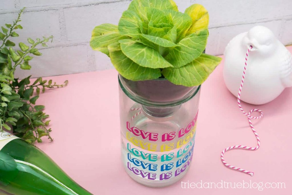 Self Watering glass planter on a pink background with supplies.