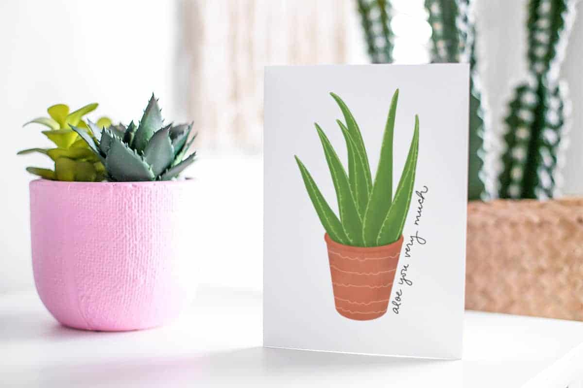 Succulent themed Valentine's Day card