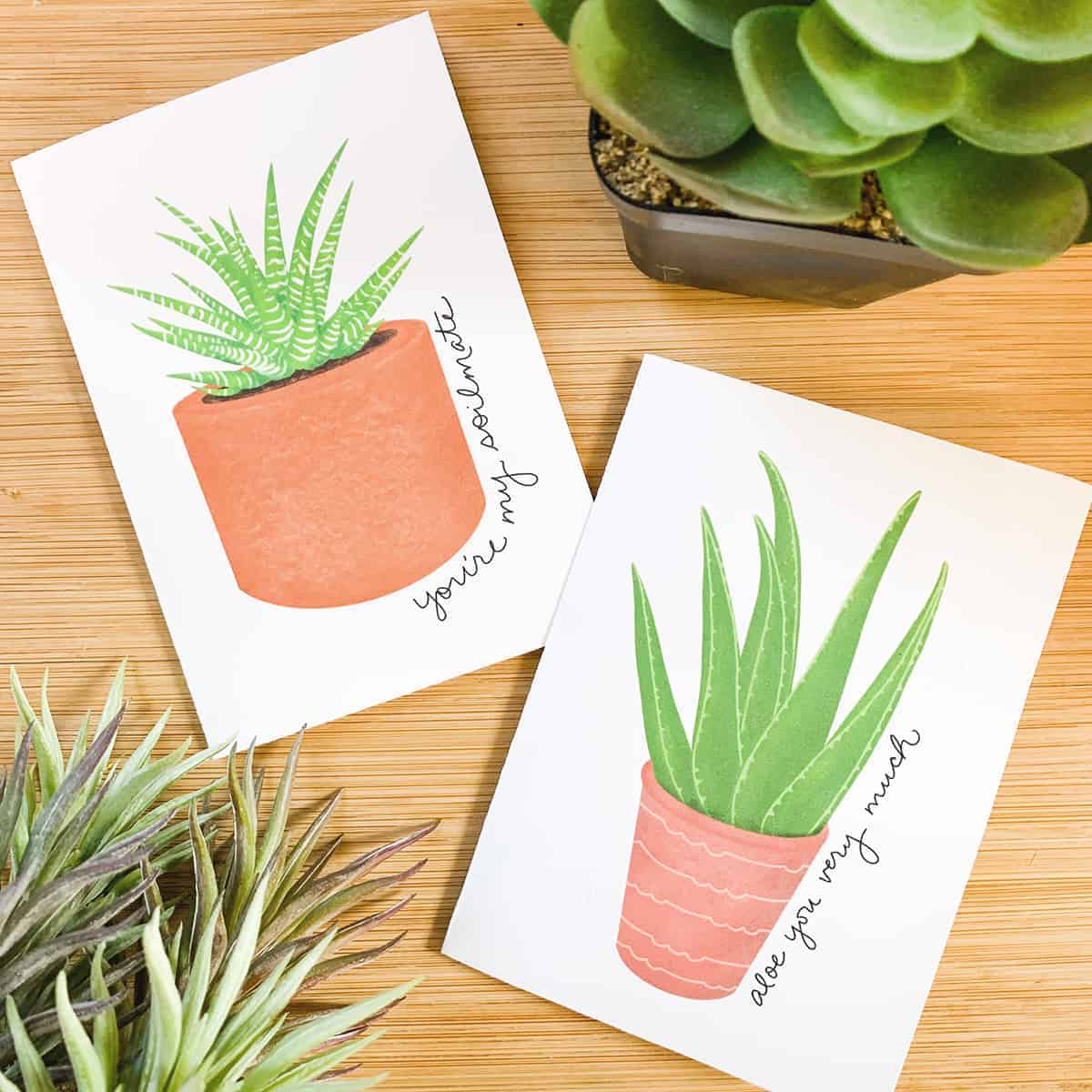 Two Valentine's Day cards with succulent drawings on a bamboo background.